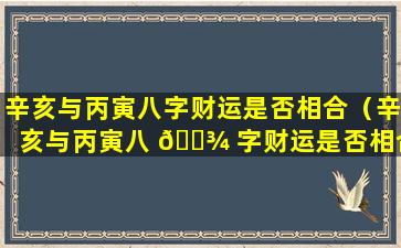 辛亥与丙寅八字财运是否相合（辛亥与丙寅八 🌾 字财运是否相合呢）